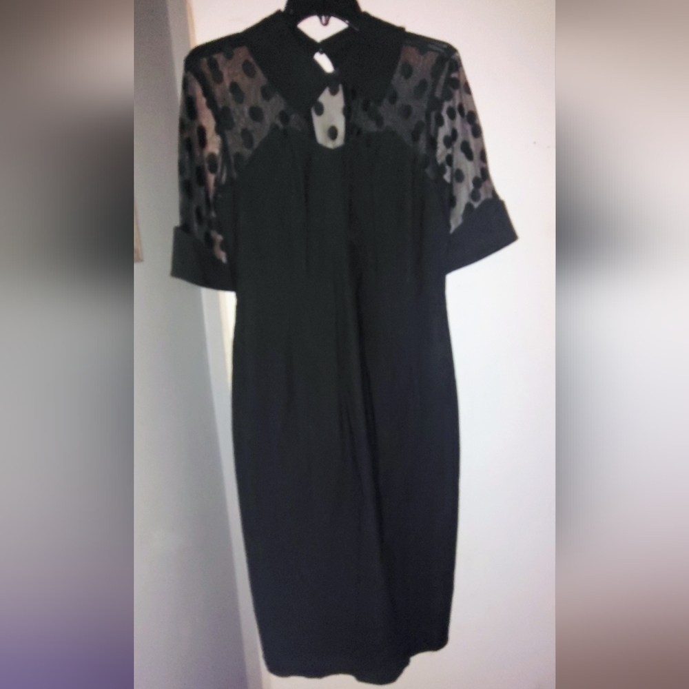 Elegant Black Dress with Sheer Polka Dot Sleeves